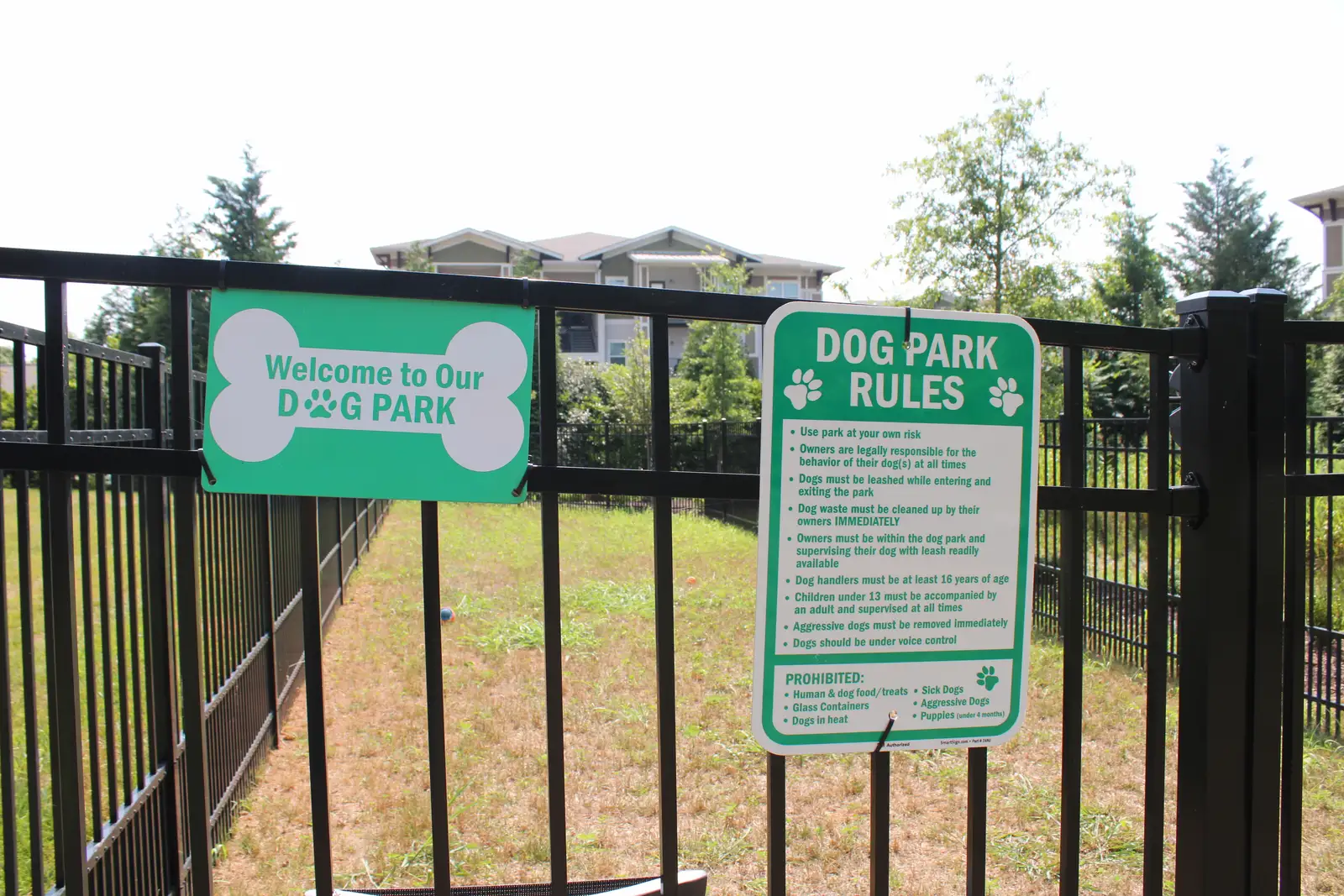 Pet-Friendly Dog Park